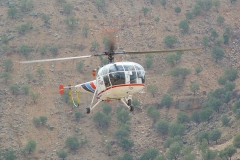 ALOUETTE III 